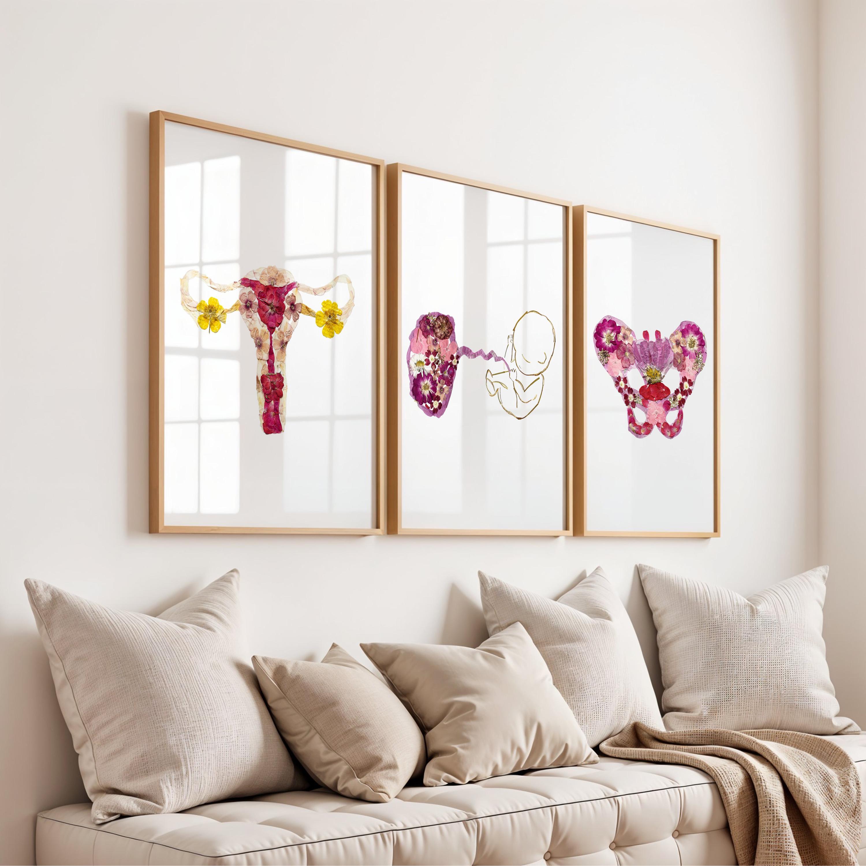 OBGYN Wall Art Set Botanical Anatomy Prints for Gynecologist Office ...