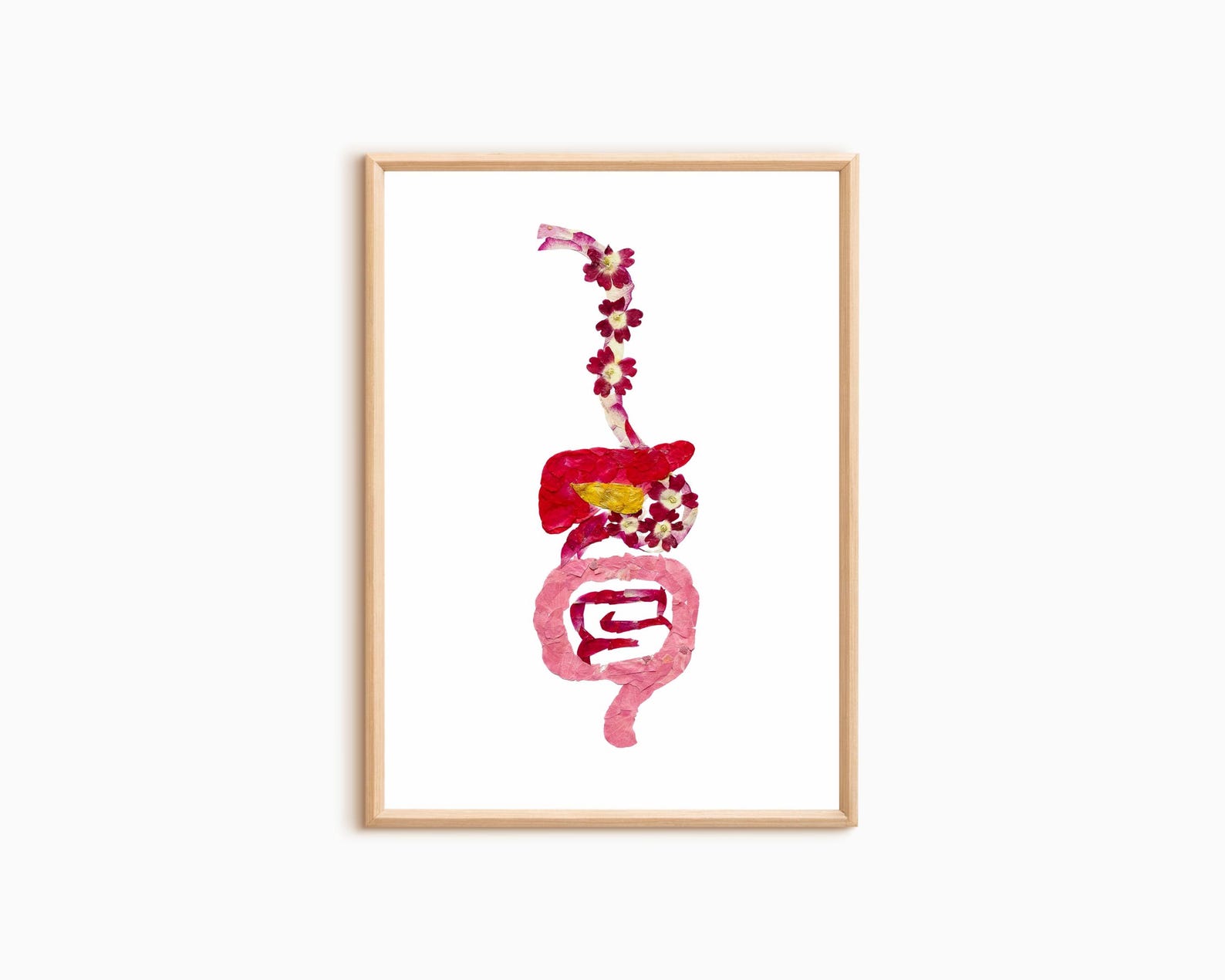 Botanical Digestive System Print – Gastroenterology Office Wall Art - Etsy
