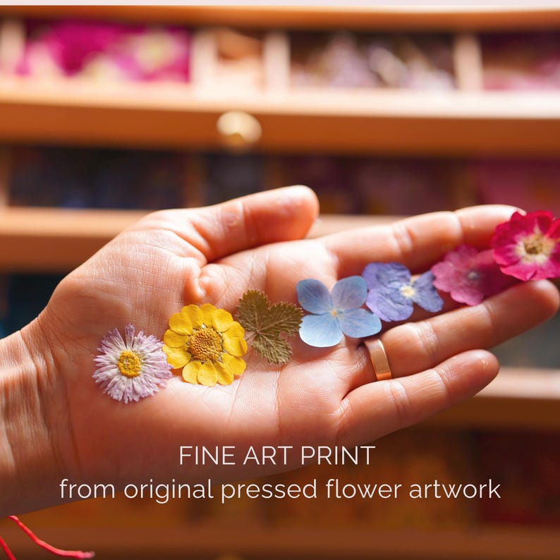 May include: A fine art print featuring a collection of pressed flowers in a spectrum of colors including white, yellow, green, blue, purple, and pink. The text on the print reads FINE ART PRINT from original pressed flower artwork.
