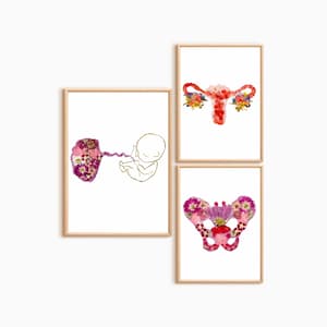 Midwife Art Print Set Floral Uterus, Pelvis & Placenta | Birth Worker Gift Botanical Anatomy Wall Art for Doula or Midwife