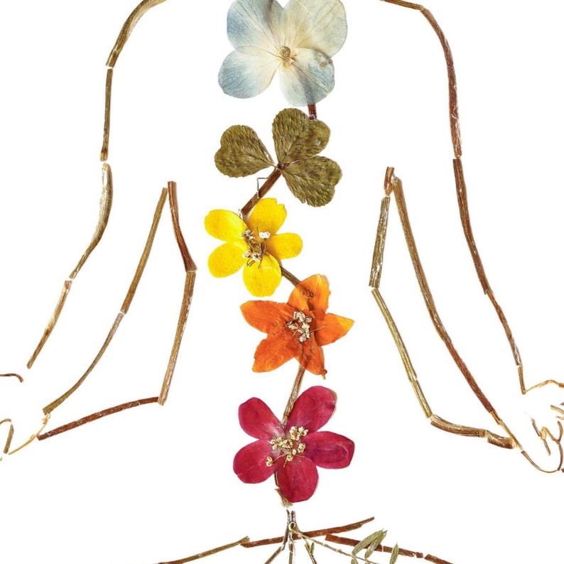 May include: A decorative art piece featuring a human silhouette outlined with thin brown twigs. A vertical column of five pressed flowers in blue, green, yellow, orange, and magenta is arranged along the center of the torso and spine area.