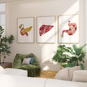 Puede incluir: Tres impresiones artísticas enmarcadas que representan órganos humanos, incluyendo un páncreas, un hígado y un estómago, cada uno compuesto por arreglos florales coloridos. Las impresiones se exhiben en una pared de color neutro.