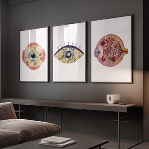Puede incluir: Tres láminas de arte mural enmarcadas con ilustraciones anatómicas de ojos compuestas por flores prensadas. La lámina izquierda muestra un ojo circular, la central un ojo con pestañas y la derecha una sección transversal de un ojo.