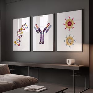 Könnte beinhalten: Drei gerahmte Wandbilder mit wissenschaftlichen Illustrationen aus gepressten Blumen. Der linke Druck zeigt eine DNA-Doppelhelix, der mittlere eine Antikörperstruktur und der rechte Druck stellt zwei kreisförmige Viruspartikel dar.