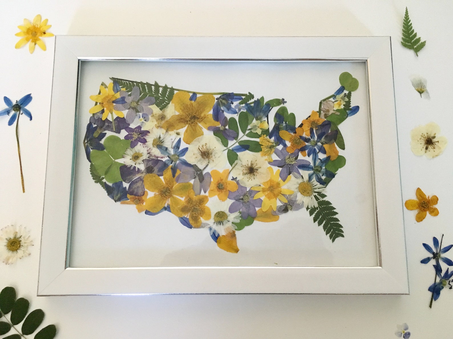 USA map in frame United states of America Real pressed | Etsy