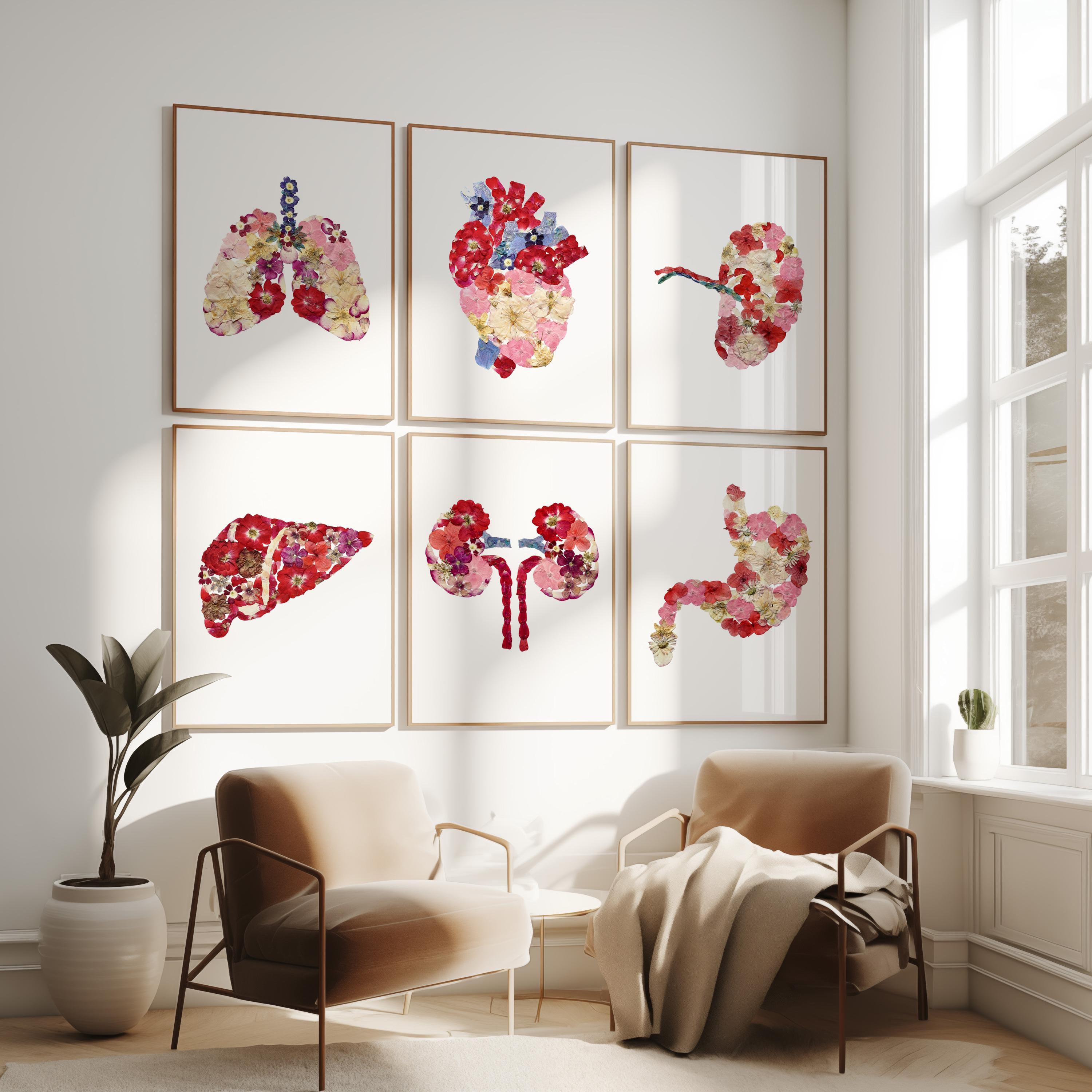 Floral Anatomy Wall Art Set of 6, Human Organs Prints, Medical Clinic ...