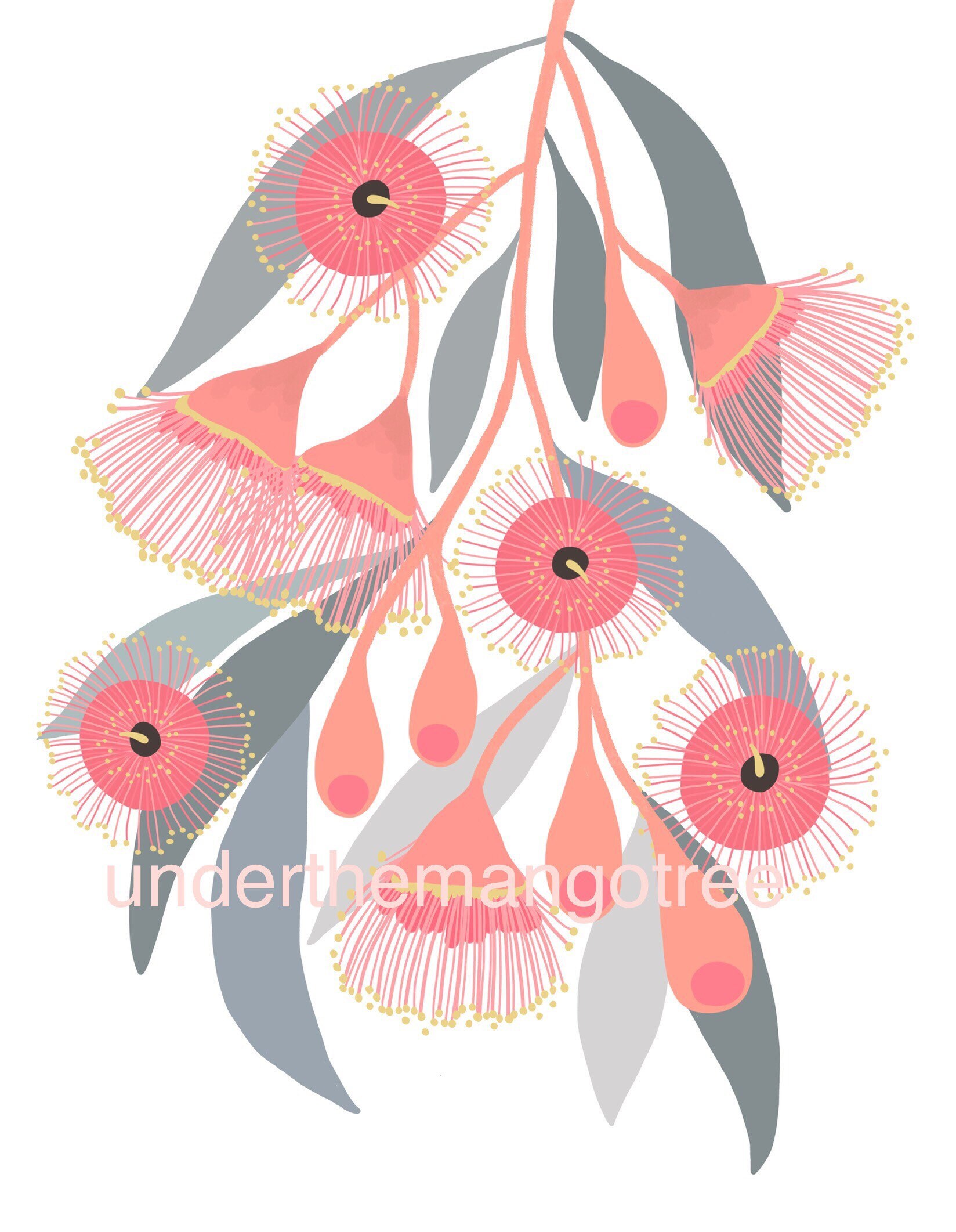 A Set of 3 Australian Native Flower Art Prints Home Decor Red Etsy