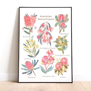 Australian Native Flowers Art Print Wall Decoration, Australian Botanical Painting Home Decor, Flower Art Print ,Wall Decor, Flower Poster