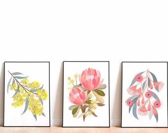 A set of 3 beautiful Australian Native Flowers Art Print (1.Wattle 2.Pink Protea 3.Gumnut Blossom ) , Botanical Art Print Wall Decor
