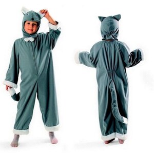 Cat grey costume