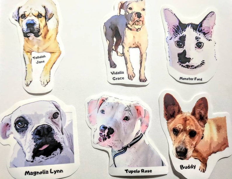 6 Medium Custom Pet Bumper Stickers = 6 Photos X 1 Sticker Each