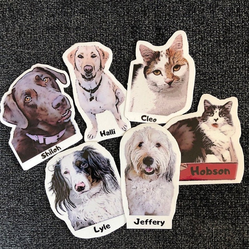 6 Medium Custom Pet Bumper Stickers = 6 Photos X 1 Sticker Each