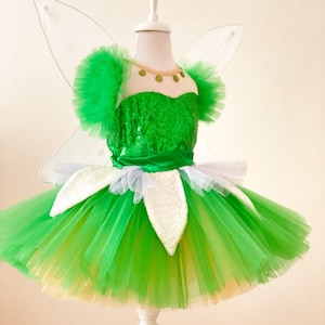 Fairy Toddler Dress, Tinkerbell Girl Costume, Tinkerbell Inspired Tutu Dress, Toddler Birthday Dress, Baby Photoshoot Outfit