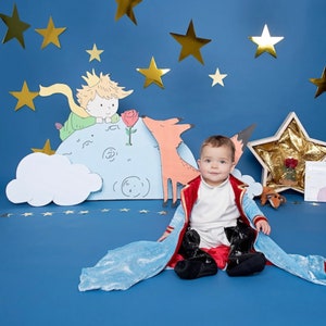 The Little Prince Costume, The Little Birthday Outfit, Prince Boy Outfit, Prince Outfit, Prince Costume