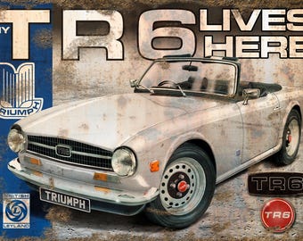 Bespoke Triumph TR6 'Rusty' airbrush art metal signs in 10 colours. Available with your registration number