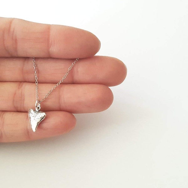 Sharks Tooth Sterling Silver Necklace