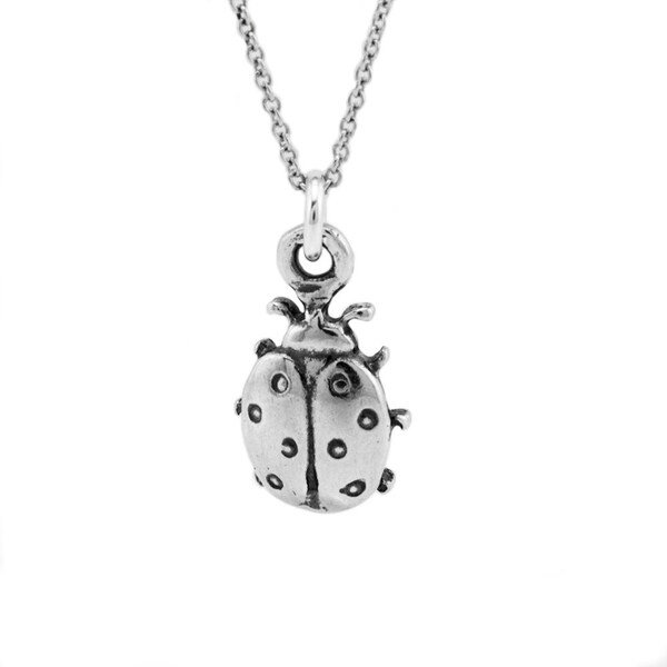 LUCK Be a Ladybug Small Coin Necklace main image 1