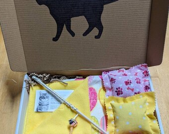Beautiful Handmade Catnip Box | Colorful Fun Catnip Gift Box | Gift for Cat's Birthday | Gift for Cat Parents