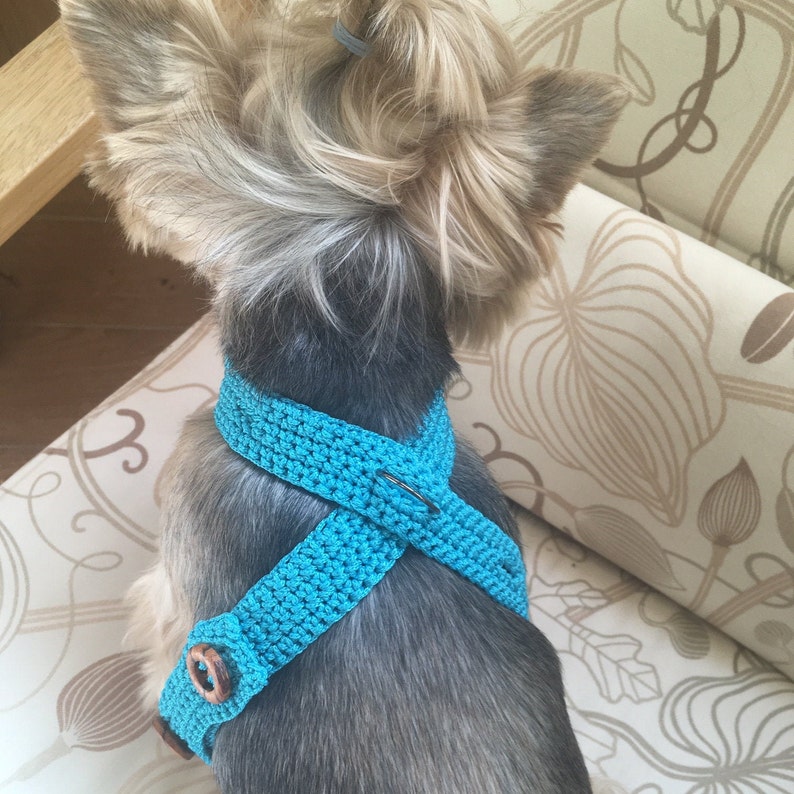 Crochet tutorial harness for small dogs Etsy