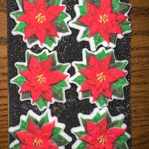 ZUCCHERO DI POINSETTIA