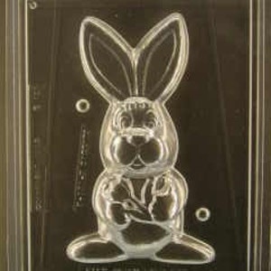 3D BUNNY HOLDNG FLOWERS mold