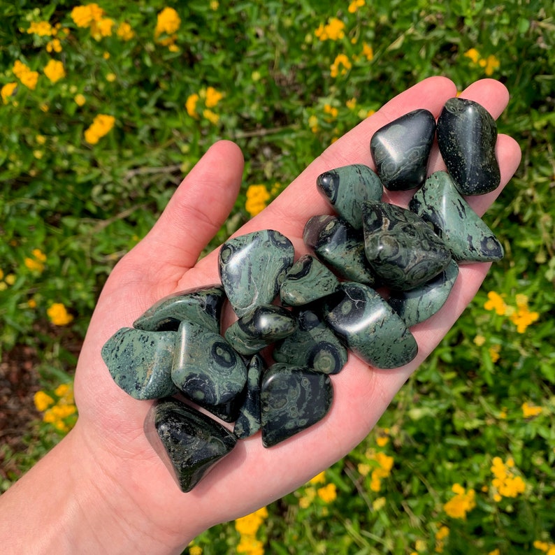 Crocodile Jasper Tumbled Crystal Healing Stone Healing Etsy