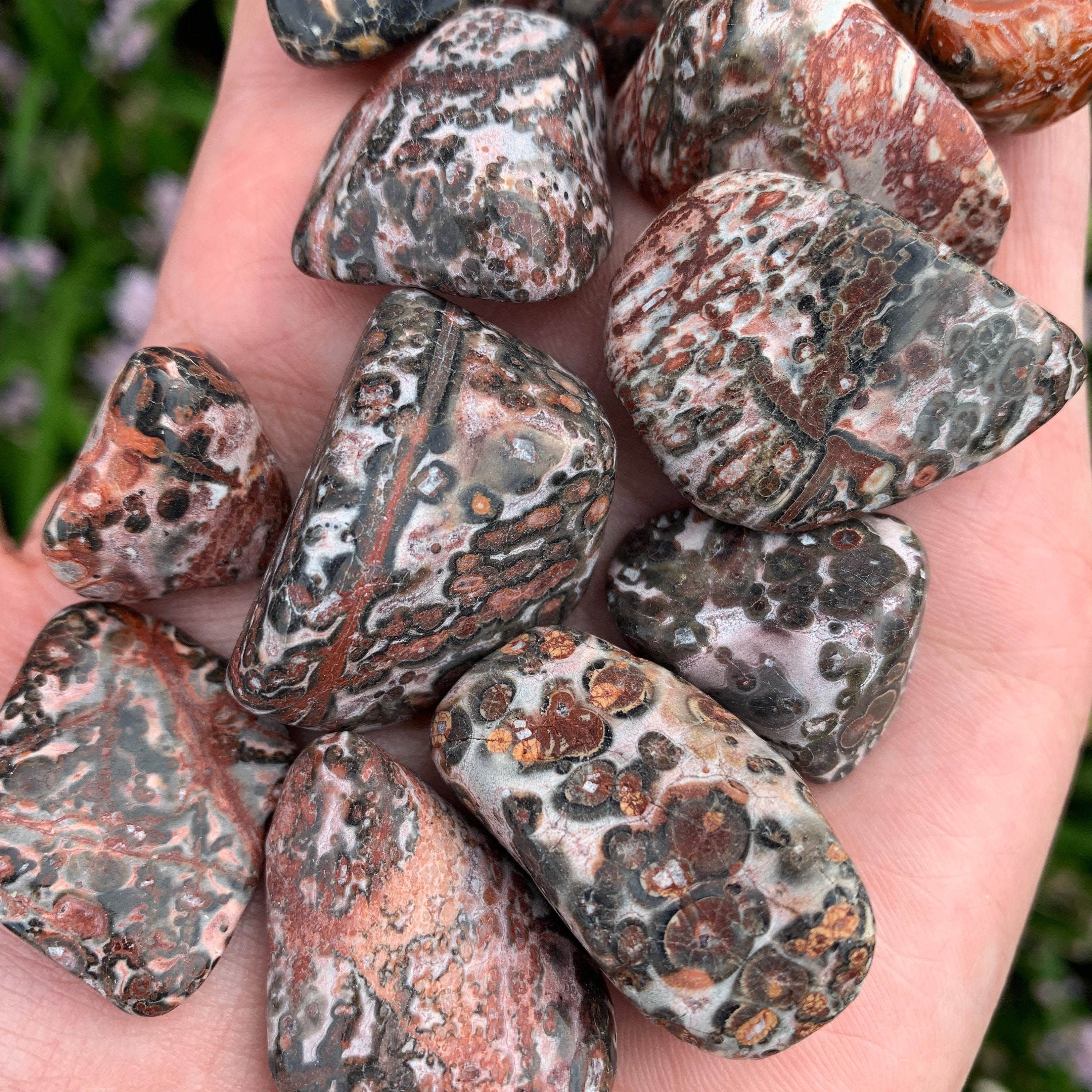 Leopard skin jasper healing properties vrshery