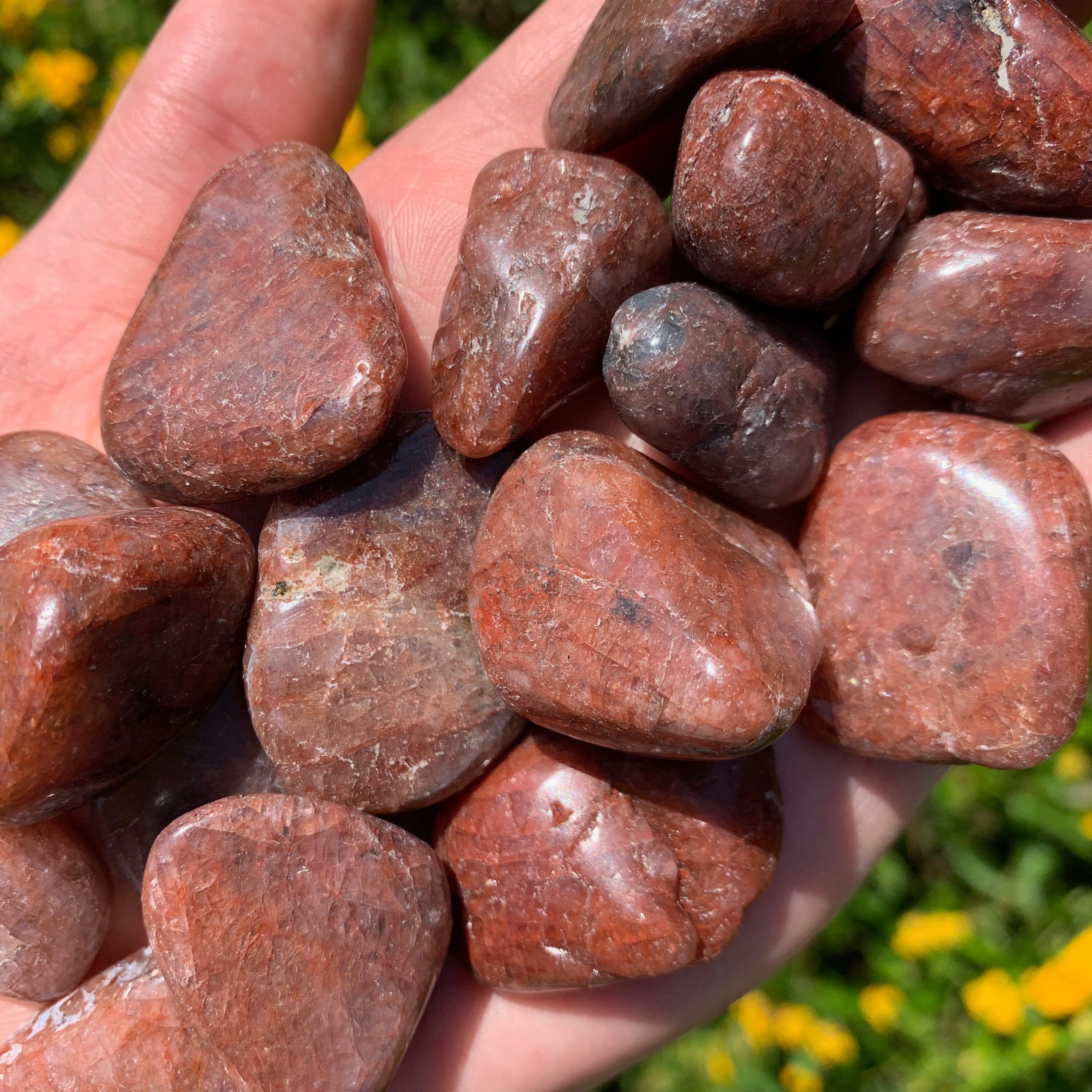 Red Apatite Tumbled Crystal Healing Stone Healing Crystals | Etsy