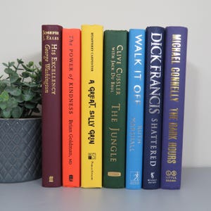 Rainbow Books, Colorful Decorative Books, Set of 7, Color Book Bundle, Book Decor, Books for Staging, Rainbow Book Set, Decorative Book Set