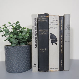Vintage Black and Grey Decorative Books, Set of 5 Old Books, Book Decor, Vintage Books, Shelf Decor, Staging