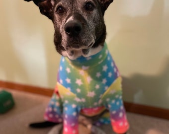 May include: A black and grey dog wearing rainbow and white star patterned pyjamas.