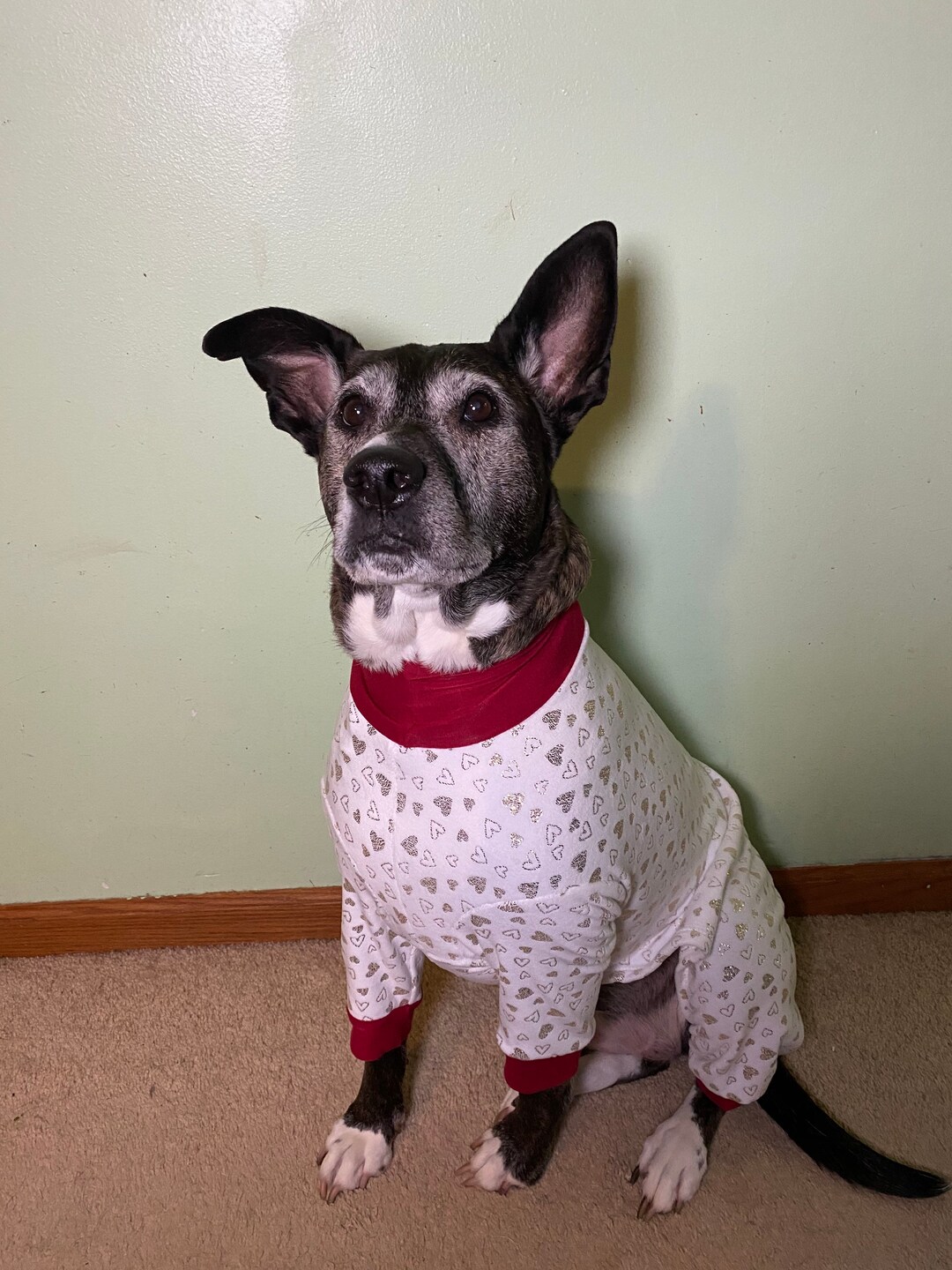 Luxe Valentines Day Dog Pajamas Etsy New Zealand