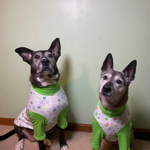 St. Patrick’s Day Dog Shirts
