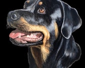 Rottweiler PNG File Digital Download Sublimation Image - Etsy