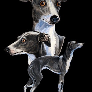 Whippet dog Greyhound PNG file - Digital download - Sublimation image- Dog clipart