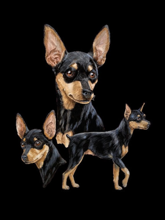 Miniature Pinscher PNG File Digital Download Sublimation Image