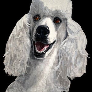 Poodle  PNG file - Digital download - Sublimation image- Dog clipart