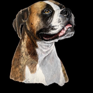 Boxer dog -  PNG file - Digital download - Sublimation image- Dog clipart