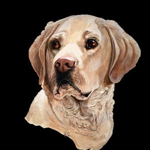 Yellow Lab PNG Datei - Digitaler Download - Sublimation Bild - Hund Clipart