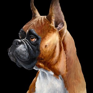 Boxer dog   PNG file - Digital download - Sublimation image- Dog clipart