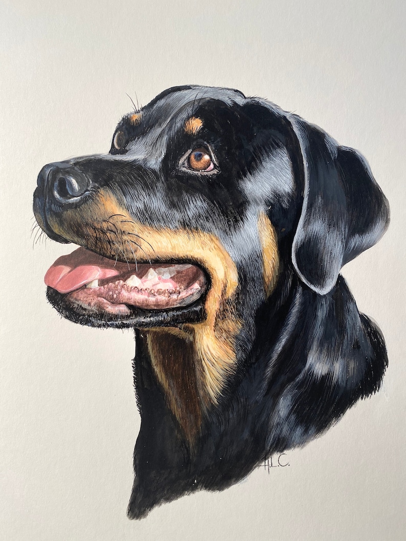 Rottweiler PNG File Digital Download Sublimation Image - Etsy