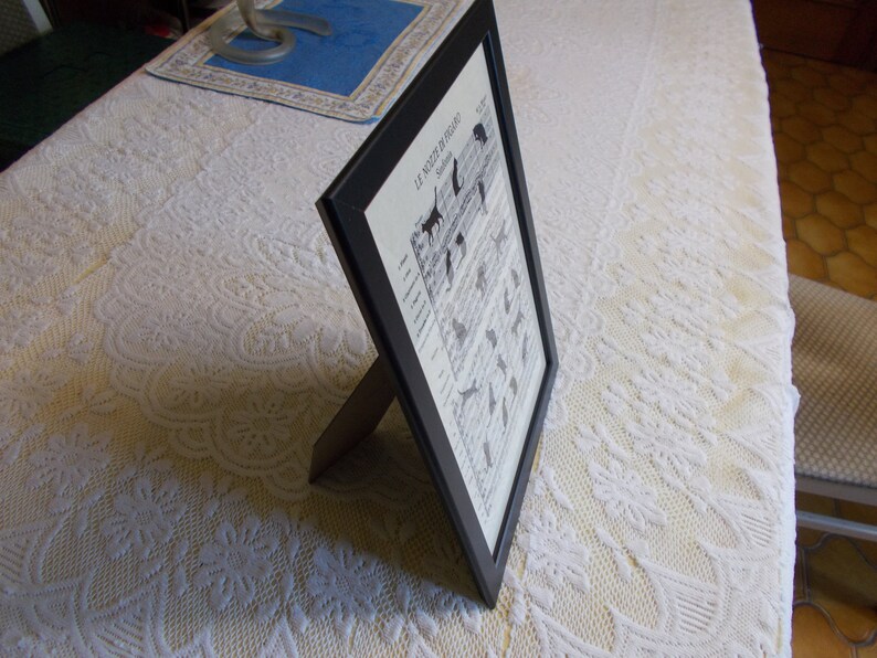 May include: A black framed print of a vintage illustration of different dog breeds. The print is titled "Le Mozin de l'Anglois" and is displayed on a white lace tablecloth.