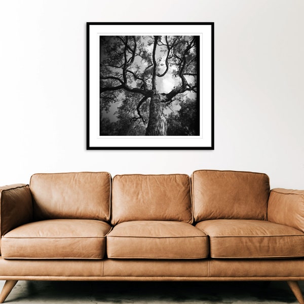 Black and White Holga Tree Print, Instant Digital Download Print, JPEG, Vintage, Digital Wall Art, Dreamy Blur Print, Fine Art, Home Decor