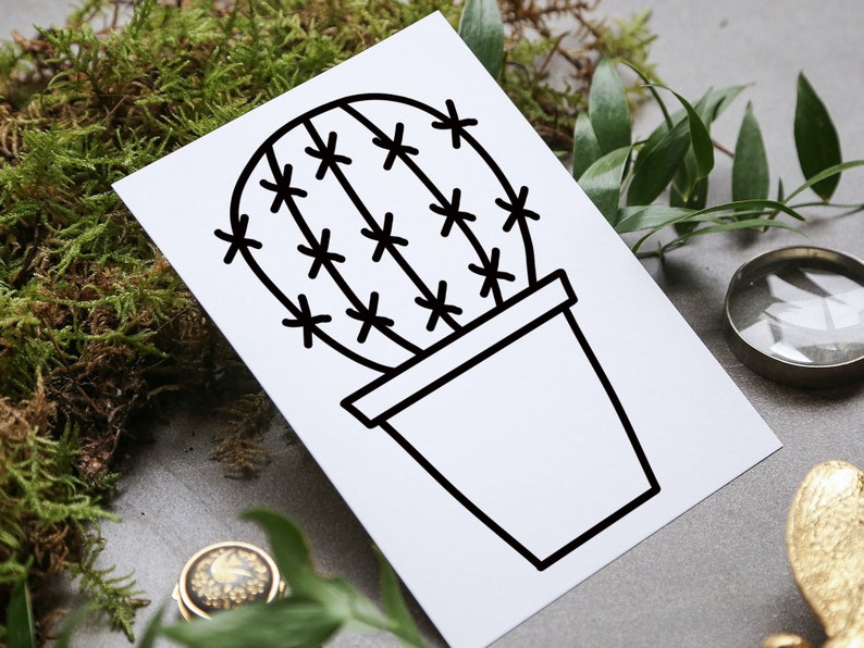 Op de afbeelding: Een zwart-witte lijntekening van een cactus in een pot. De cactus heeft een ronde vorm met veel stekels en staat in een eenvoudige pot.