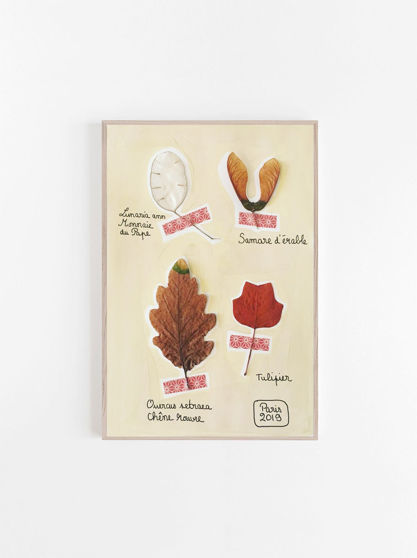 Illustration Originale - Page d'herbier N3 Botanique Encre Aquarelle et Acrylique Art Cadre Décorati