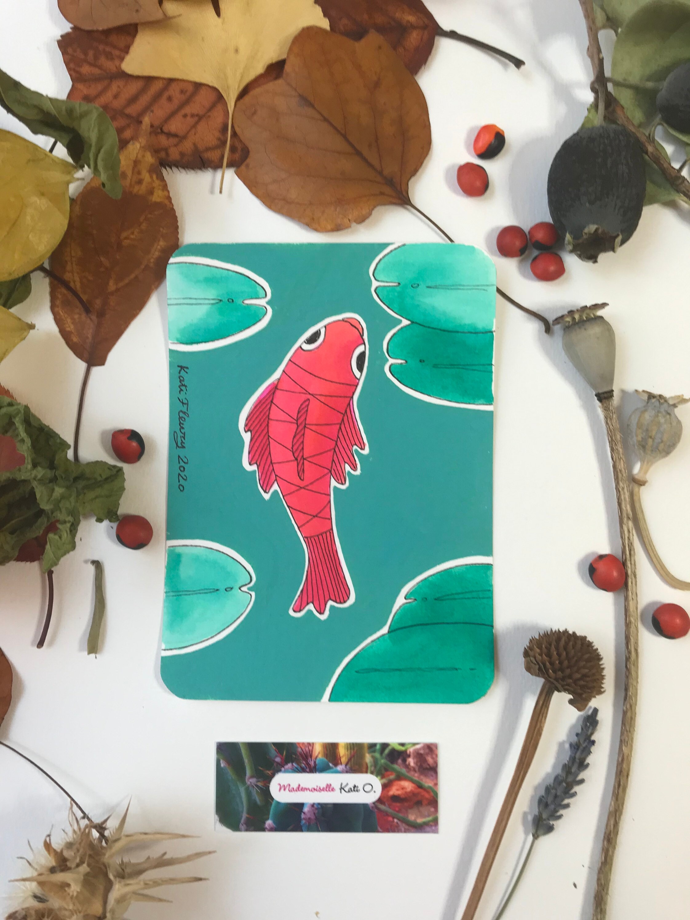 Kit de Rentrée 6 - 11 Ans 1 Carnet, Feutre, Crayon, Gomme, Carte Poissons et Nénuphars, Botanique