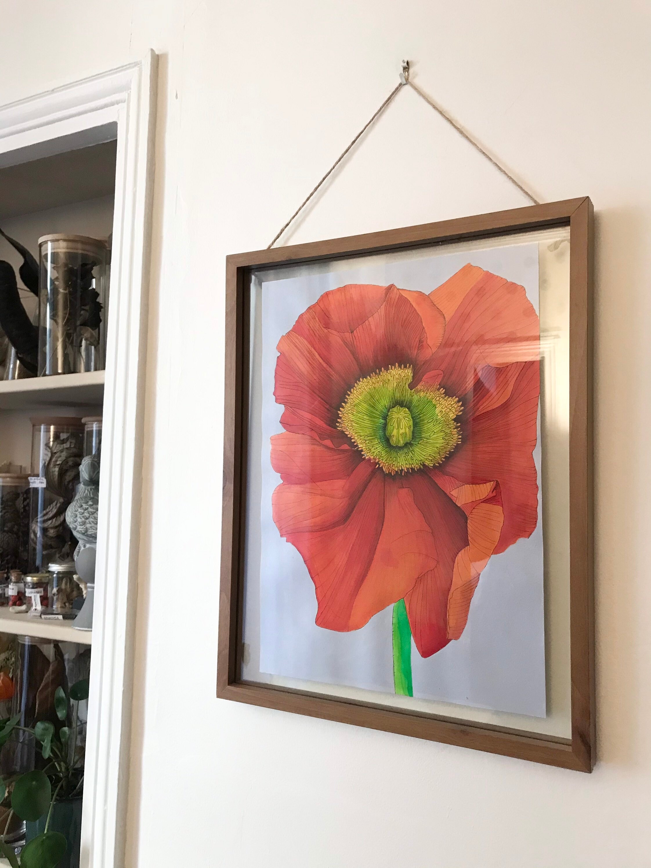 Illustration Originale - Pavot Botanique Encre Aquarelle et Acrylique Art Cadre Décoration Chambre P