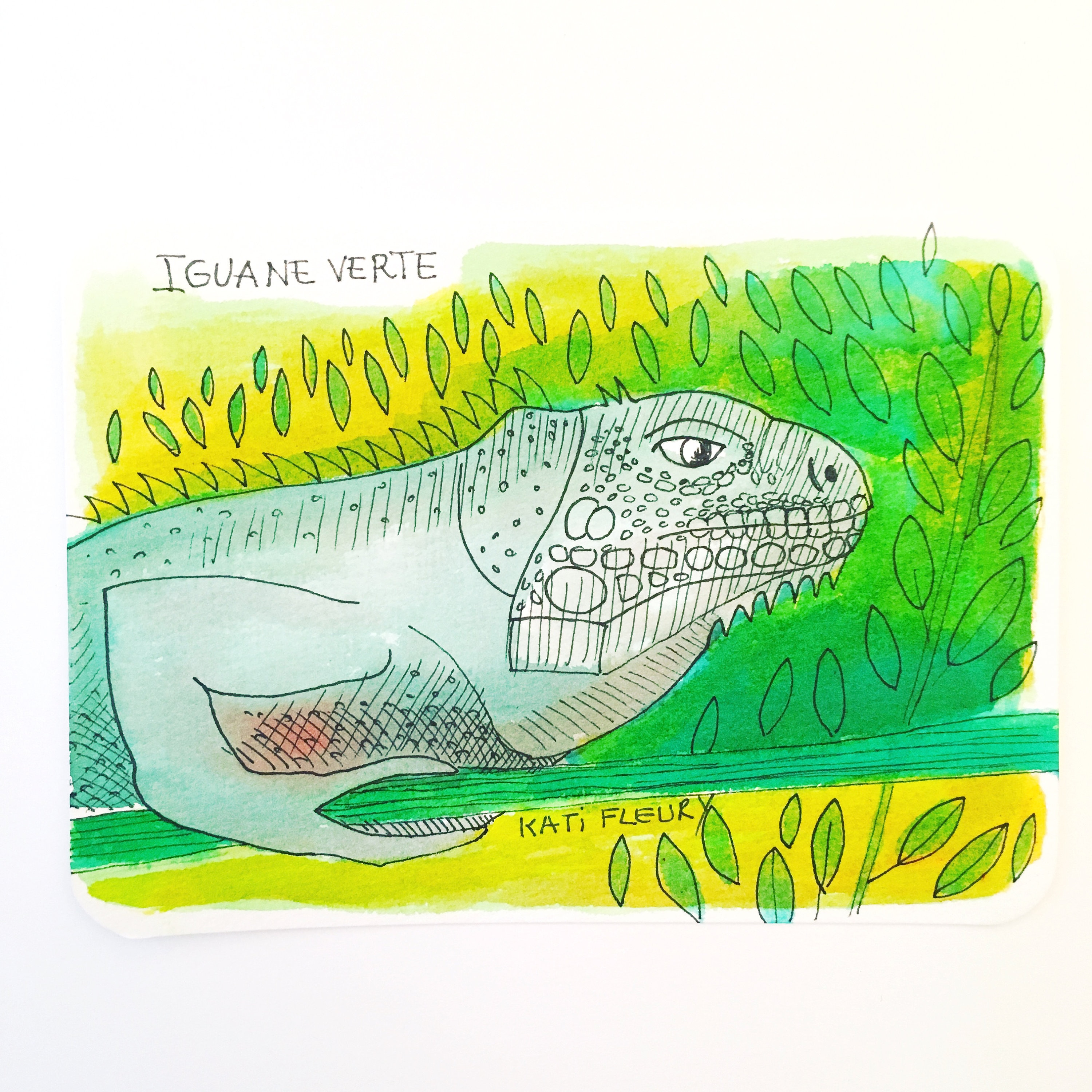 Illustration Originale - Carnet de Voyage Guyane Iguane