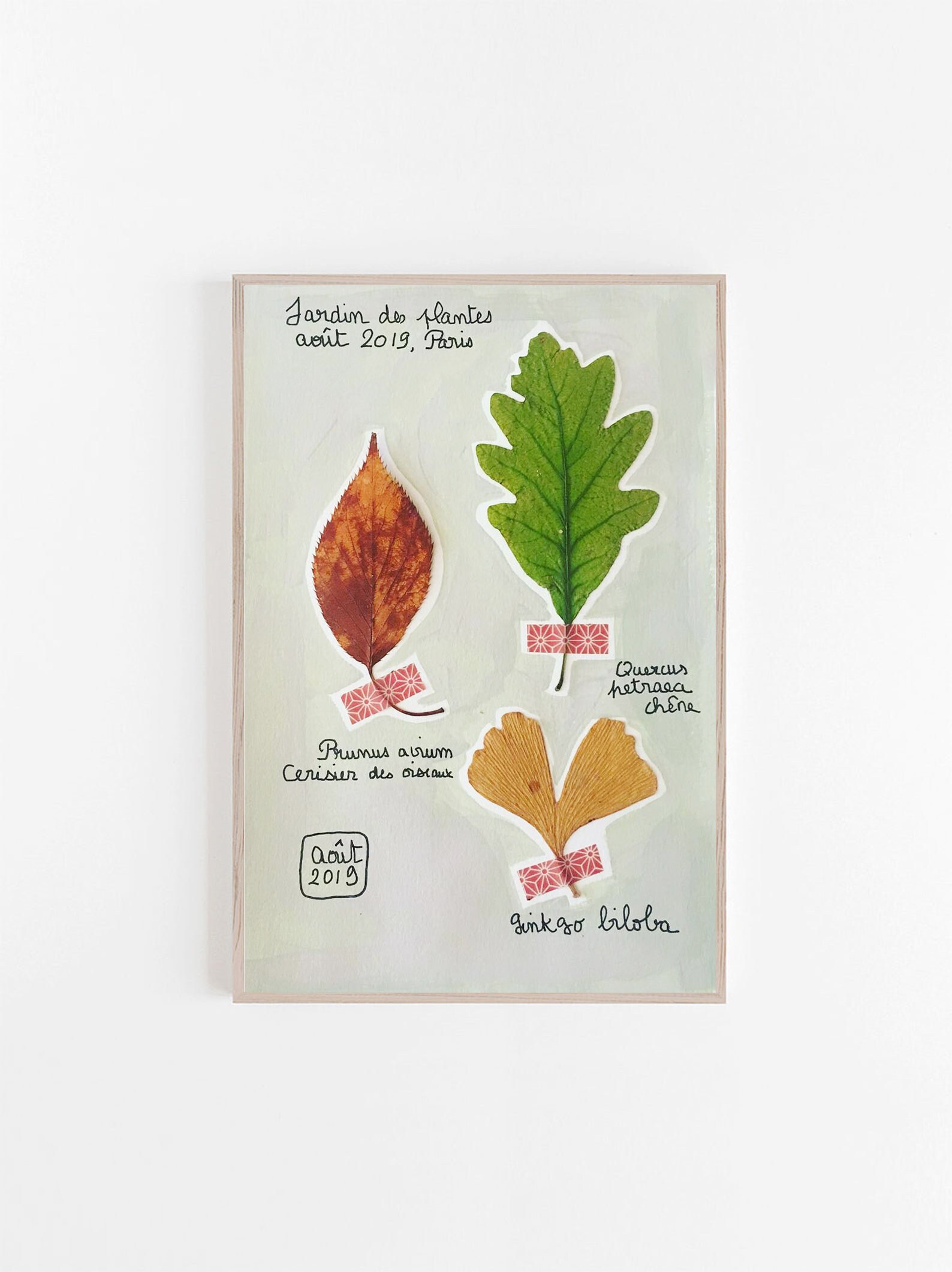 Illustration Originale - Page d'herbier N1 Botanique Encre Aquarelle et Acrylique Art Cadre Décorati