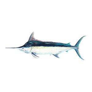 Black Marlin Art print hand embellished with Danielsmith iridescent watercolours pelagic oceanart billfish gamefishing fishart